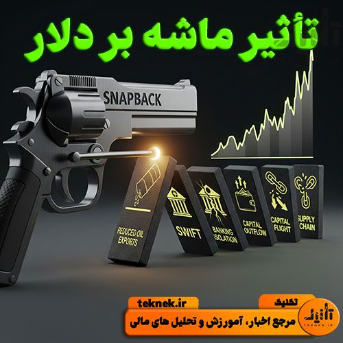 تأثیر ماشه بر دلار